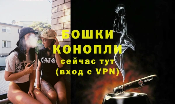 дмт Нея