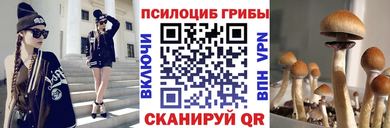 магазин  наркотиков  Солигалич  blacksprut как войти  Псилоцибиновые грибы GOLDEN TEACHER 